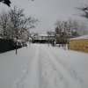 la grande nevicata del febbraio 2012 129